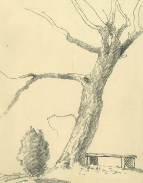 Marcus Adams (1875-1959) - Mid 20th Century Graphite Drawing, Bench Under a Tree