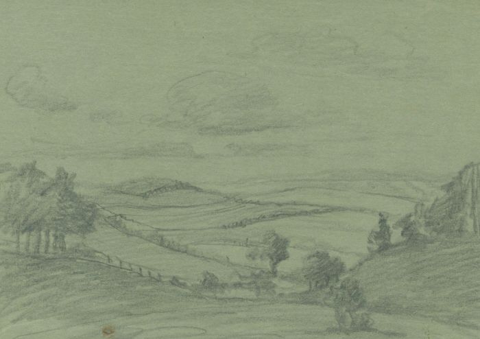 Marcus Adams - Mid 20th Century Graphite Drawing, Landscape and Tree Studies