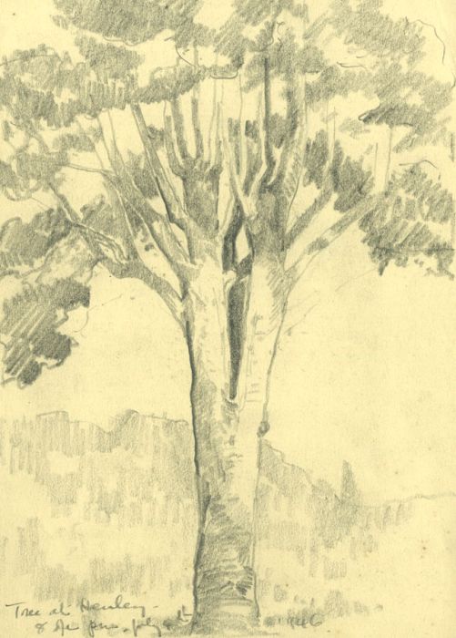 Marcus Adams - 1946 Graphite Drawing, Trees at Henley and the New Forest