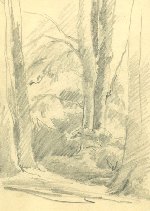Marcus Adams - Set of 4 Mid 20th Century Graphite Drawing, Drawings of Trees