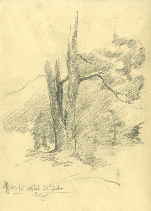 Marcus Adams (1875-1959) - Mid 20th Century Graphite Drawing, Tree