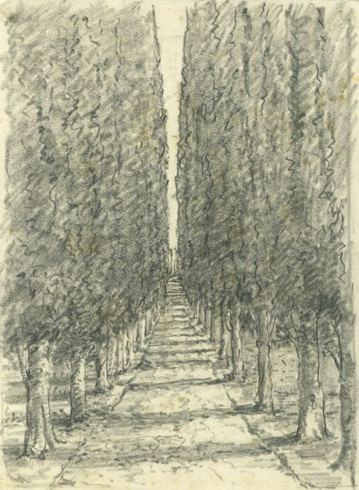Marcus Adams (1875-1959) - Mid 20th Century Graphite Drawing, Tree Lined Path