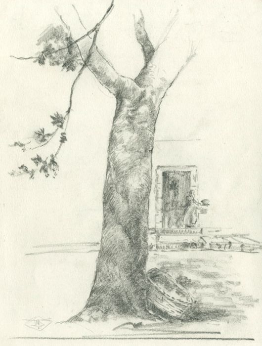 Marcus Adams - Early 20th Century Graphite Drawing, Tree