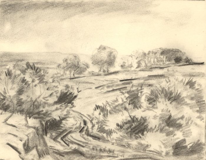 Marcus Adams - Early 20th Century Charcoal Drawing, Fields