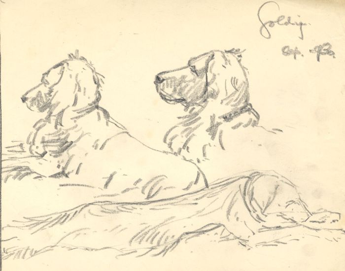 Marcus Adams - 1930 Graphite Drawing, Dog Studies