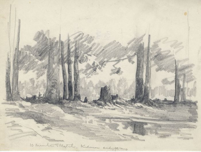 Marcus Adams - Early 20th Century Graphite Drawing, Wooded Area