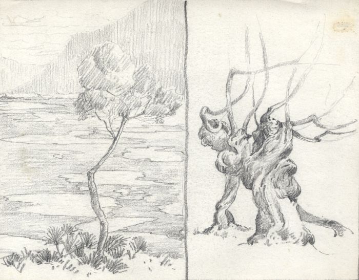 Marcus Adams - Set of 5 Early 20th Century Graphite Drawings, Studies of Trees