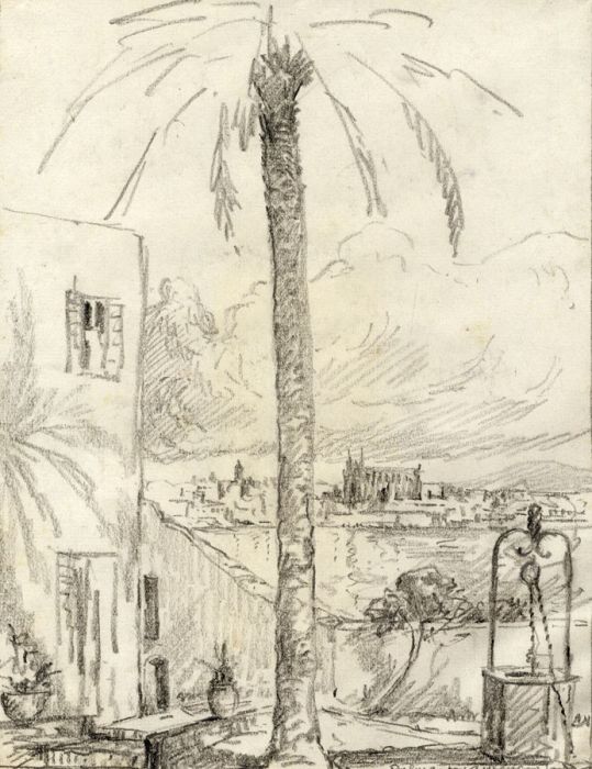 Marcus Adams - Early 20th Century Graphite Drawing, Palm Tree, Palma