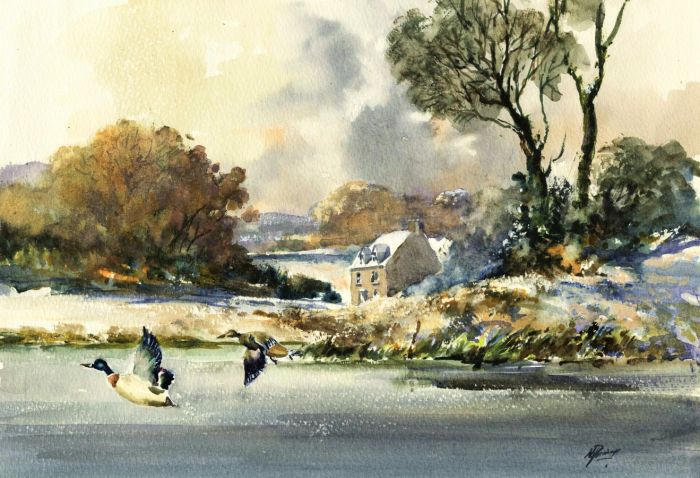 Norman Dinnage (b.1928) - Mid 20th Century Watercolour, Ducks in Flight