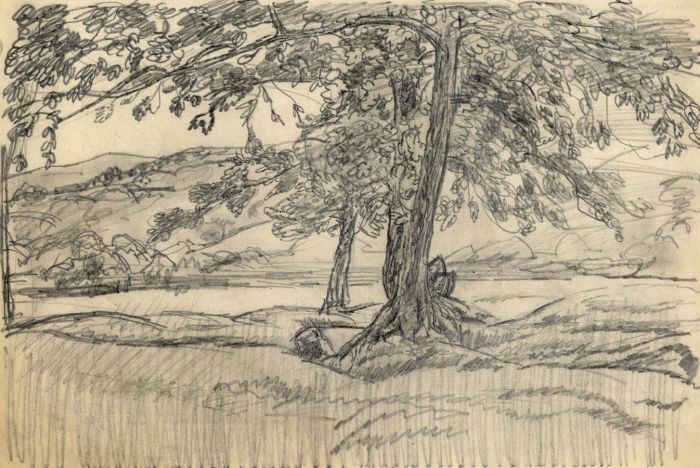 Harold Hope Read - Mid 20th Century Graphite Drawing, View of the Trees