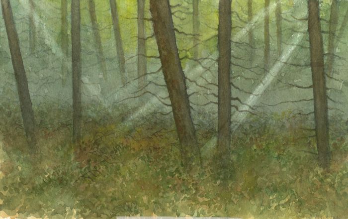 John Austin - Contemporary Watercolour, Woodland