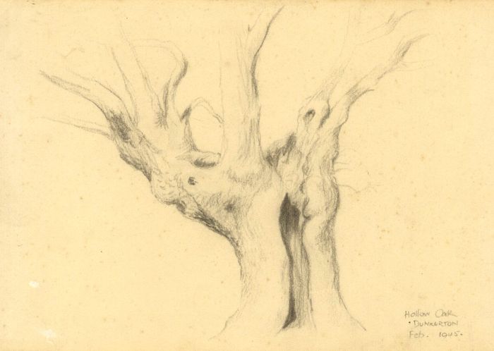 Tom O'Neill - 1945 Graphite Drawing, Hollow Oak, Dunkerton