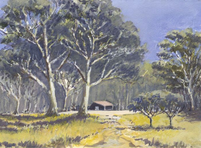 Contemporary Gouache - Woodland Landscape