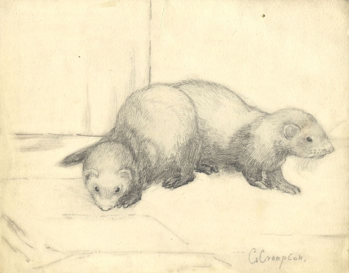 Mary Cecilia Crompton - Contemporary Graphite Drawing, Otters