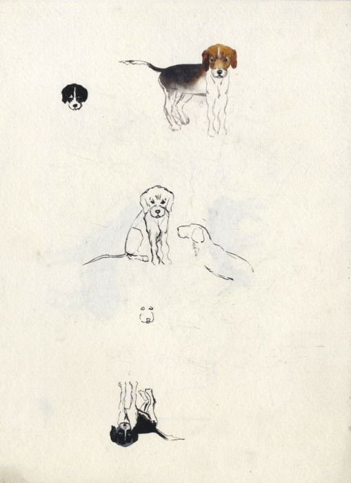 Mary Cecilia Crompton - Contemporary Watercolour, Dog Studies