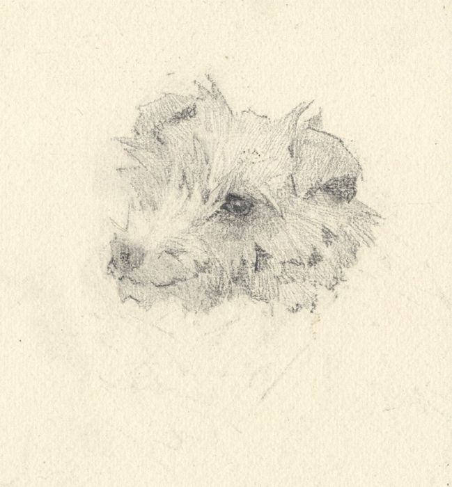 Mary Cecilia Crompton - Contemporary Graphite Drawing, Study of a Dog