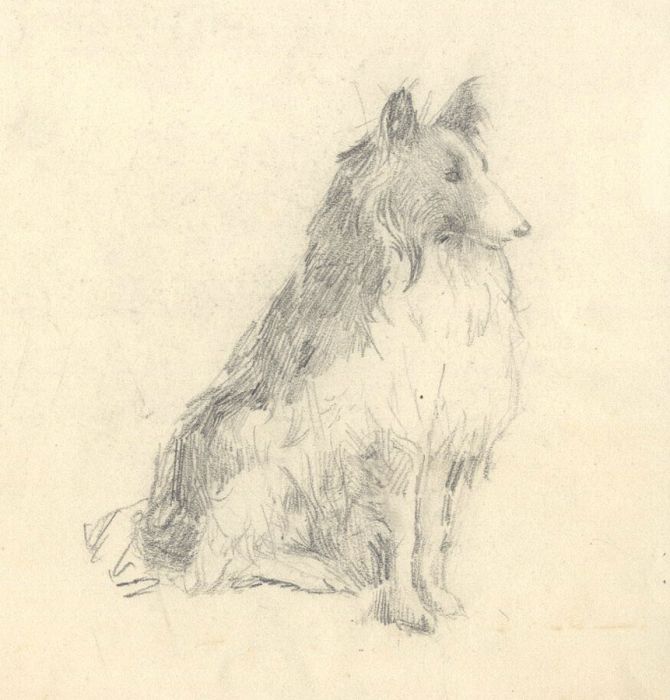 Mary Cecilia Crompton - Contemporary Graphite Drawing, Collie