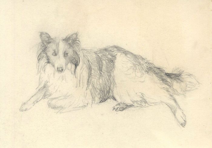 Mary Cecilia Crompton - Contemporary Graphite Drawing, Dog