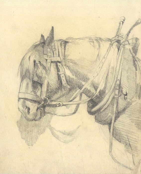 Mary Cecilia Crompton - Contemporary Graphite Drawing, Horse Study