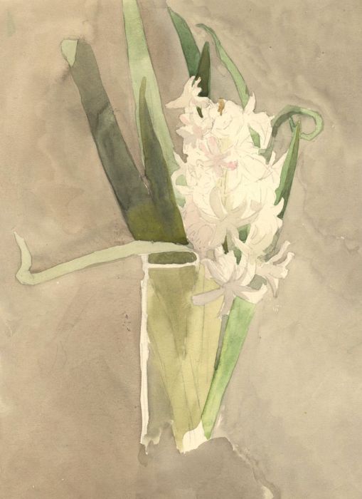 Mary Cecilia Crompton - Contemporary Watercolour, Floral Study