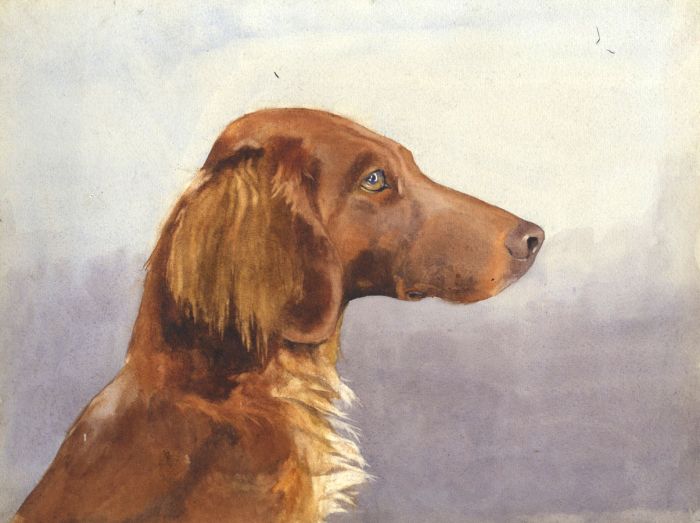 Mary Cecilia Crompton - Contemporary Watercolour, Study of a Dog
