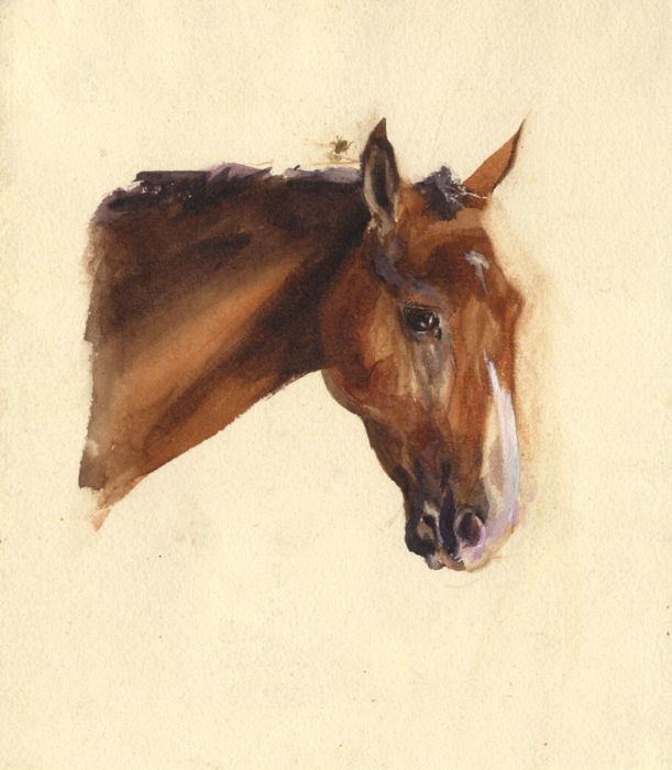 Mary Cecilia Crompton - Contemporary Watercolour, Horse