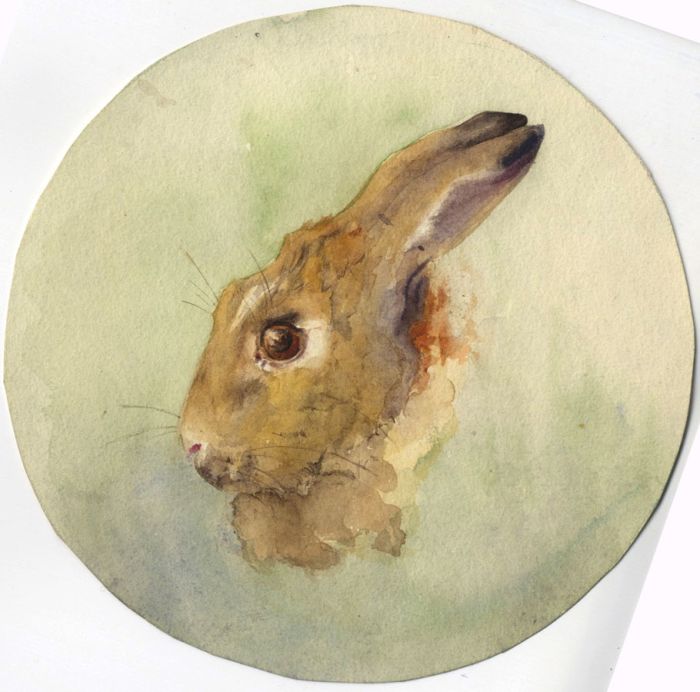 Mary Cecilia Crompton - Contemporary Watercolour, Rabbit