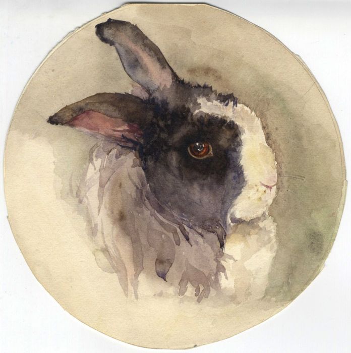 Mary Cecilia Crompton - Contemporary Watercolour, Rabbit