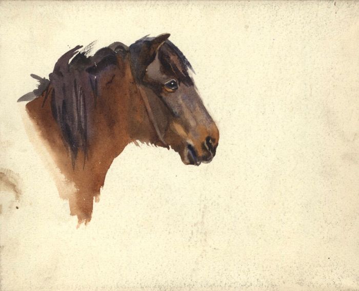 Mary Cecilia Crompton - Contemporary Watercolour, Horse Study