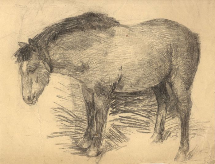 Mary Cecilia Crompton - Contemporary Graphite Drawing, Donkey