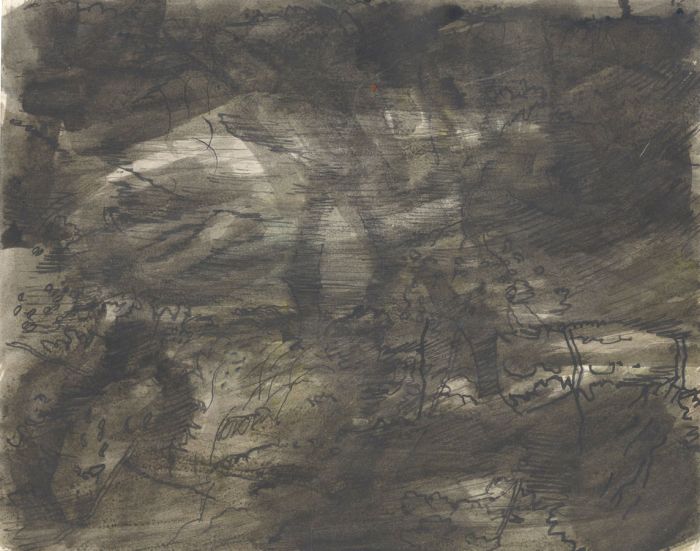 Richard Harding Seddon PRWS - Contemporary Pen and Ink Drawing, Shadowed Forest