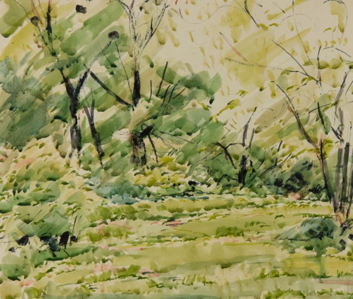 Frank Boothman - Mid 20th Century Watercolour, Forrest Landscape
