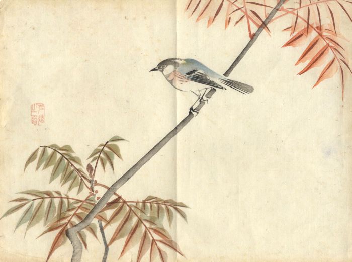 Early 20th Century Watercolour - Bird Study