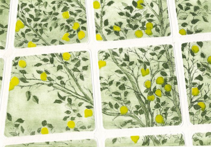 Zena Flax - Contemporary Etching, Lemon Tree Through the Window