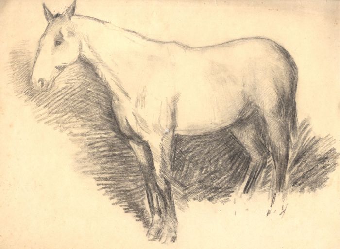Mary Cecilia Crompton - Contemporary Charcoal Drawing, Horse