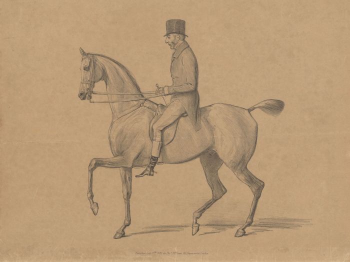 Thomas Mclean - 1838 Lithograph, Gentleman on a Horse