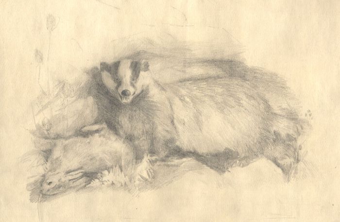 Mary Cecilia Crompton - Contemporary Graphite Drawing, Badger and Bunny
