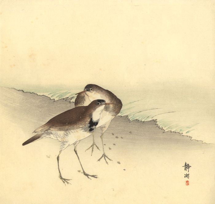 Jing Hu - Late 19th Century Japanese Woodblock, Birds