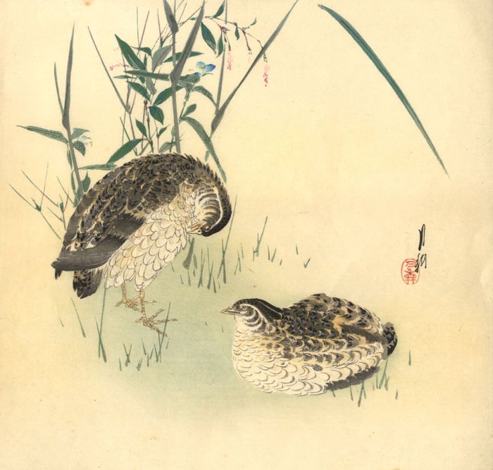 Late 19th Century Japanese Woodblock - Birds in the Grass