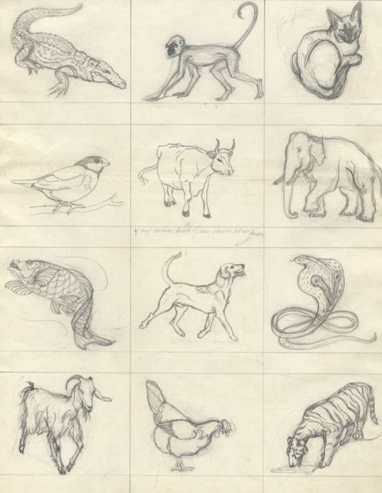 Mary Fairclough - Mid 20th Century Graphite Drawing, Animal Illustrations