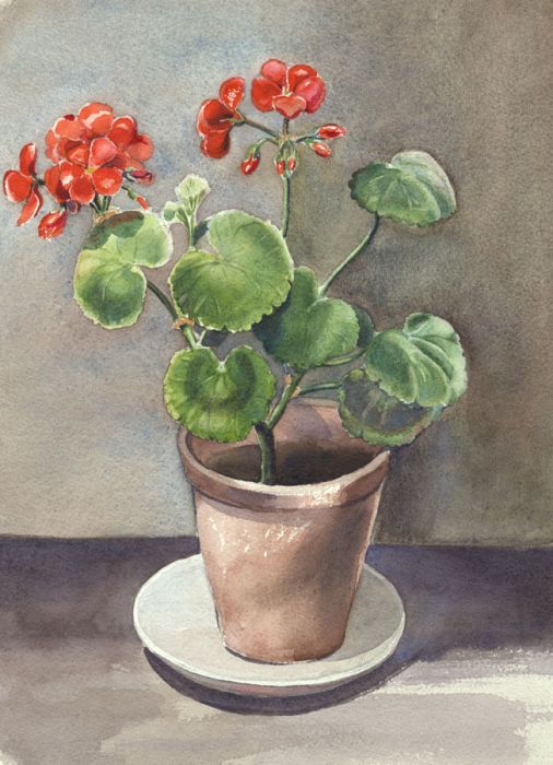 P.M. Evans - Mid 20th Century Watercolour, Two Floral Still Life Paintings