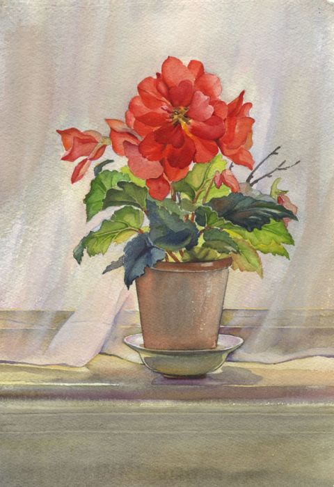 P.M. Evans - Mid 20th Century Watercolour, Flower Pot