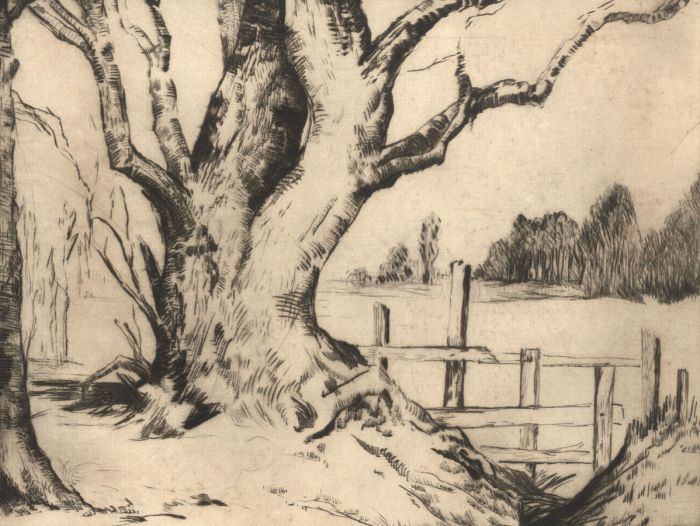 20th Century Etching - Tree in a Landscape