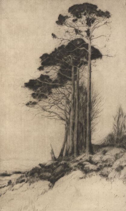 T.G. Mathieson - 20th Century Etching, Near Callander
