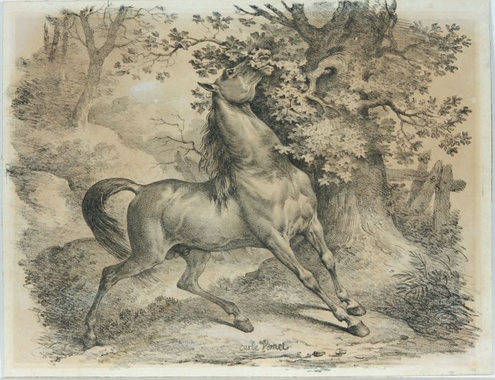 Carle Vernet (1758-1836) - 19th Century Lithograph, Wild Horse