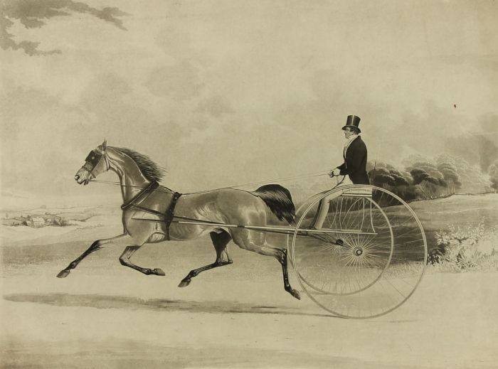 William Joseph Shayer - 19th Century Aquatint, The Horse Lord William
