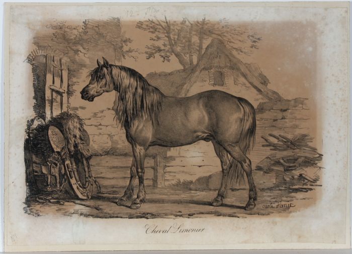 Carle Vernet (1758-1836) - Early 19th Century Lithograph, Cheval Limonier