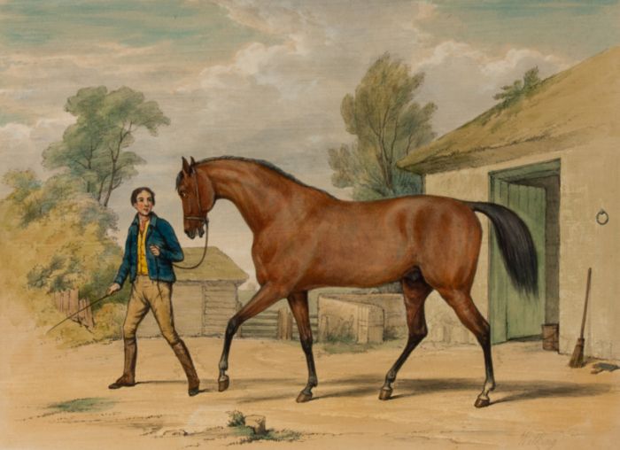 19th Century Lithograph - A pair of equestrian Prints - Walking and Ambling