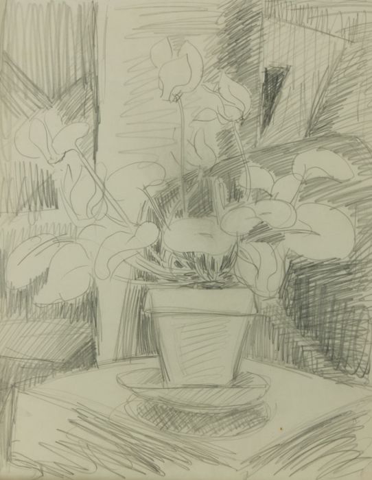 Set of Four Mid 20th Century Graphite Drawings - Floral and Portrait Studies