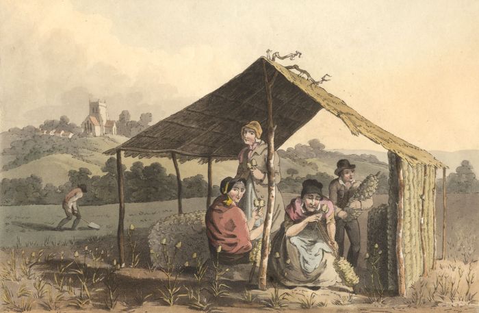 After George Walker - 19th Century Engraving, The Teasel Field
